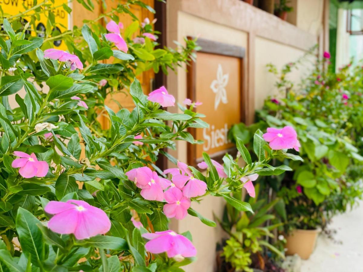 Siesta Beach Hotel Maafushi Exterior foto